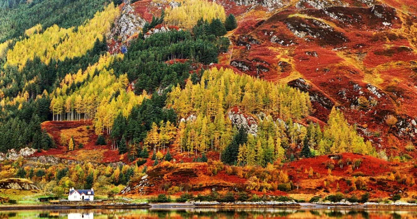Fall colors in Highlands, Scotland