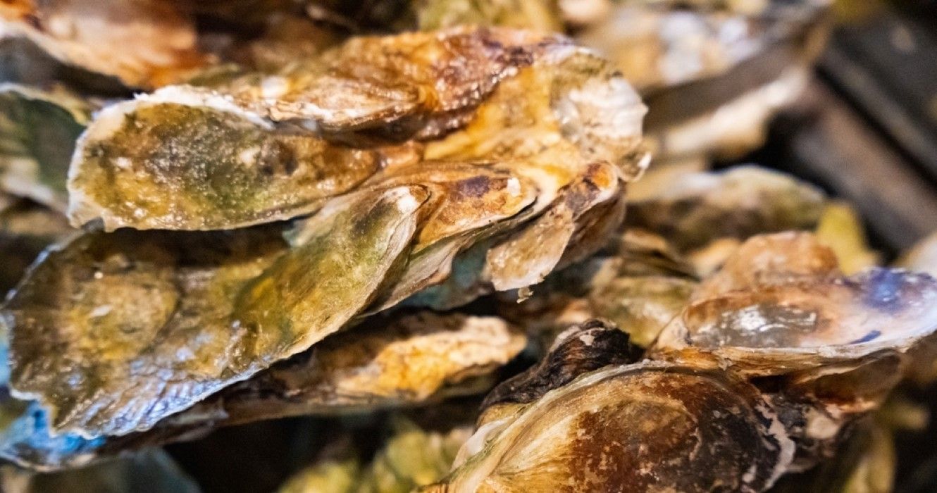 Freshly steamed oysters