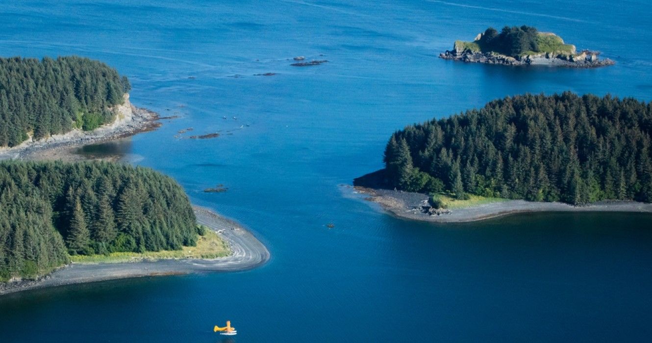 Kodiak Bay, Alaska