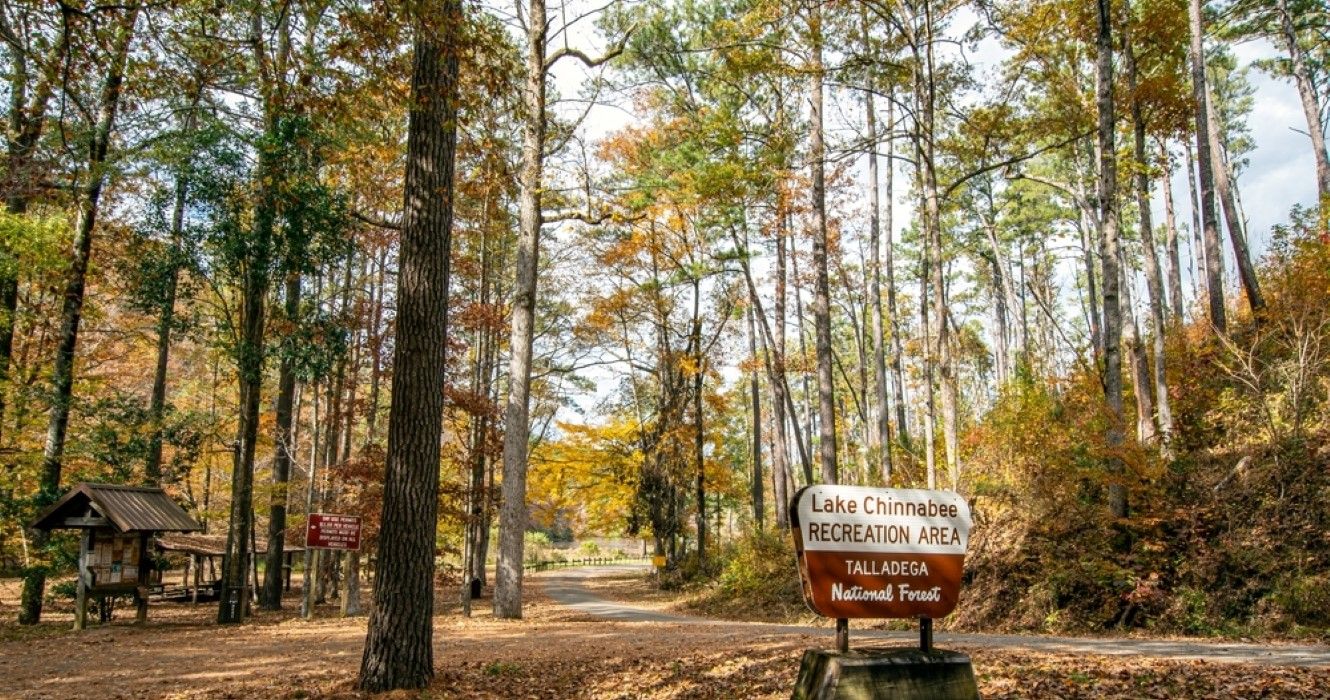Leaf Peeping: 10 Best Places For Fall Foliage In The Southern US