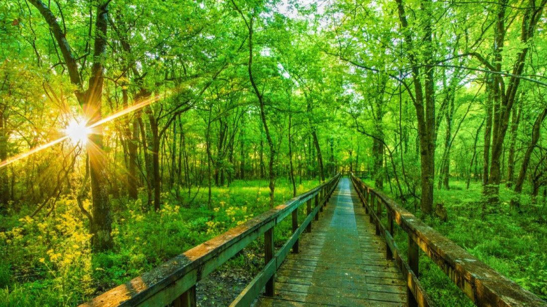 Natchez Trace How Long It ll Take To Drive Tips For The Road Trip natchez-trace-how-long-it-ll-take-to-drive-tips-for-the-road-trip