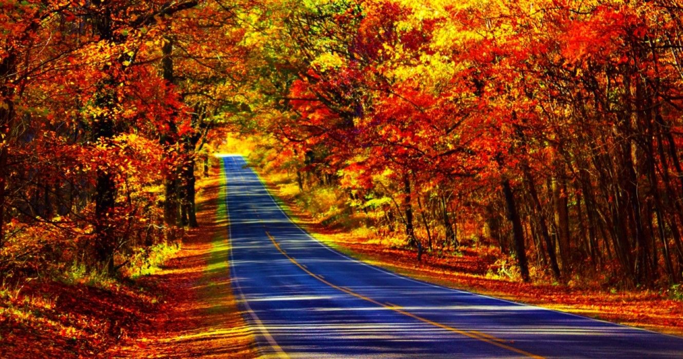 Rainbow road's in the fall on Skyline Drive, Virginia