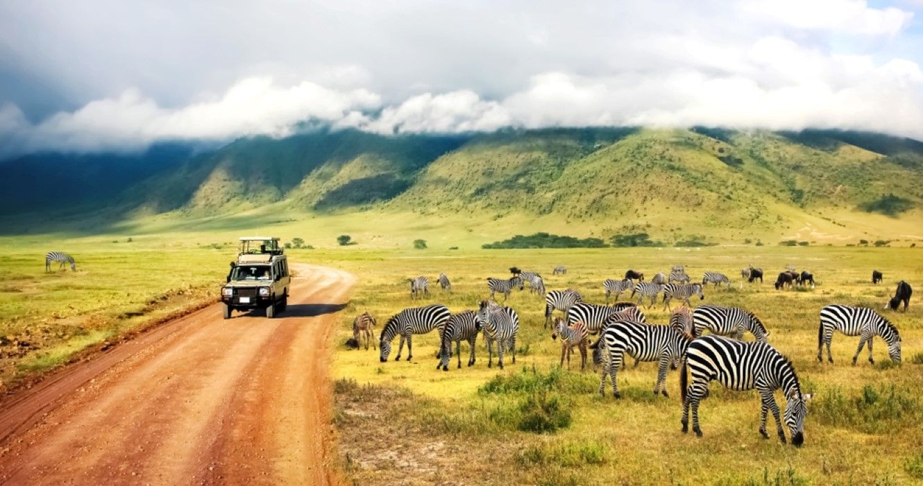 Safari in Ngorongoro Crater National park, Tanzania