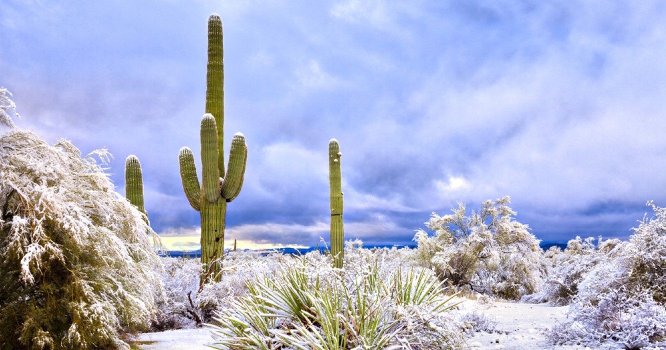 This Is Why Phoenix Is The Perfect Place To Be In Winter