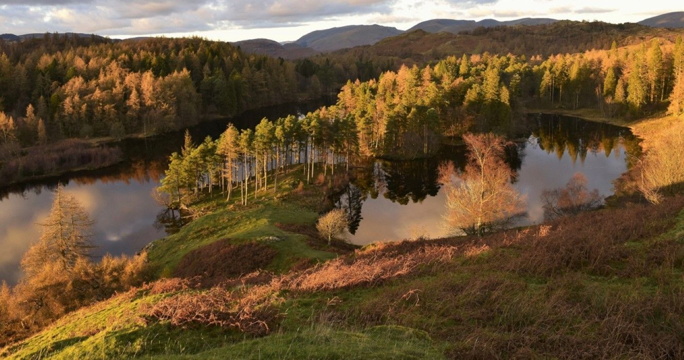 Tarn Hows in the Lake District