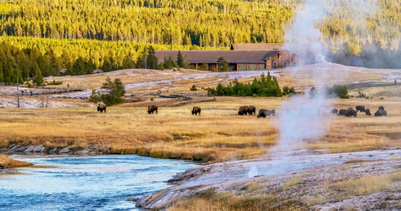 The Upper Geyser Basin at Yellowstone National Park