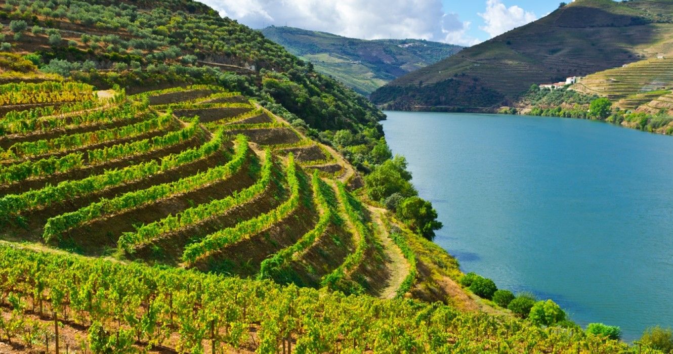 10 Best Places In Europe For Wine Lovers