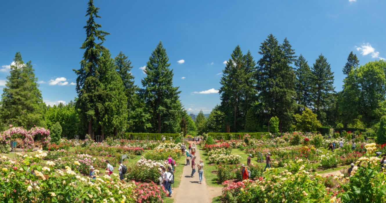Washington Park - International Rose Test Garden Portland Ore