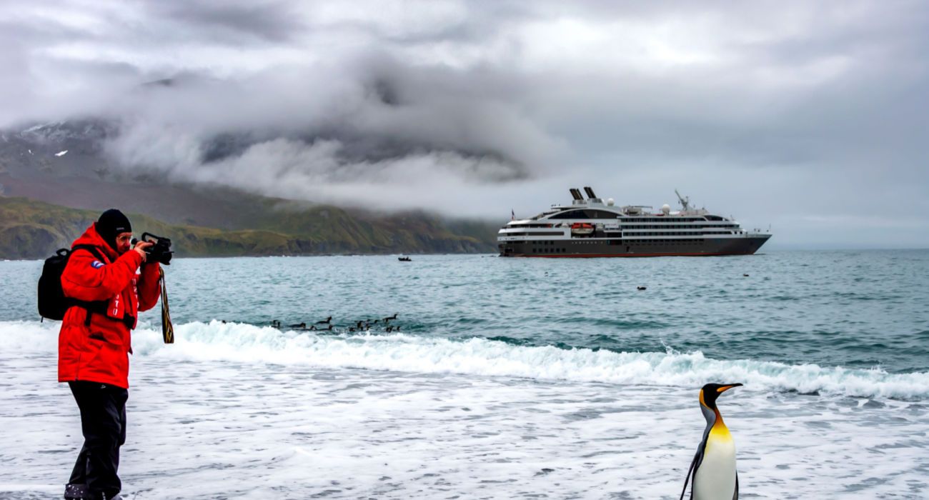 tourist from expedition cruise ship makes picture of a king penguin