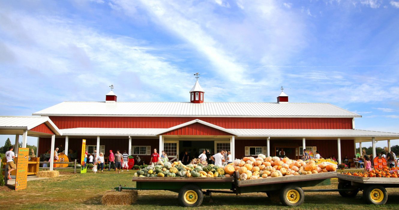 A farm stand in the fall in Long Island
