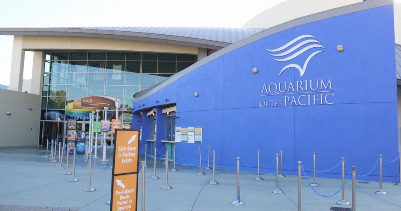 California's Largest Aquarium Might Be The Best Marine Experience Yet