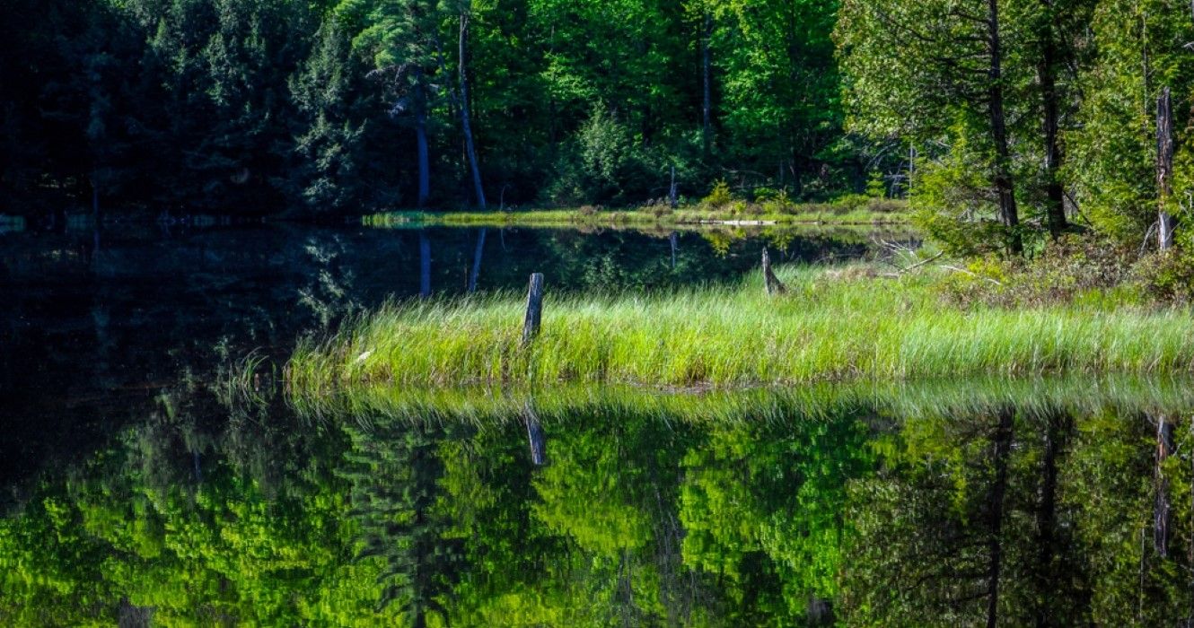 Little Rock Pond, Pharoah Lake Wilderness Area, Adirondack Forest Preserve, New York