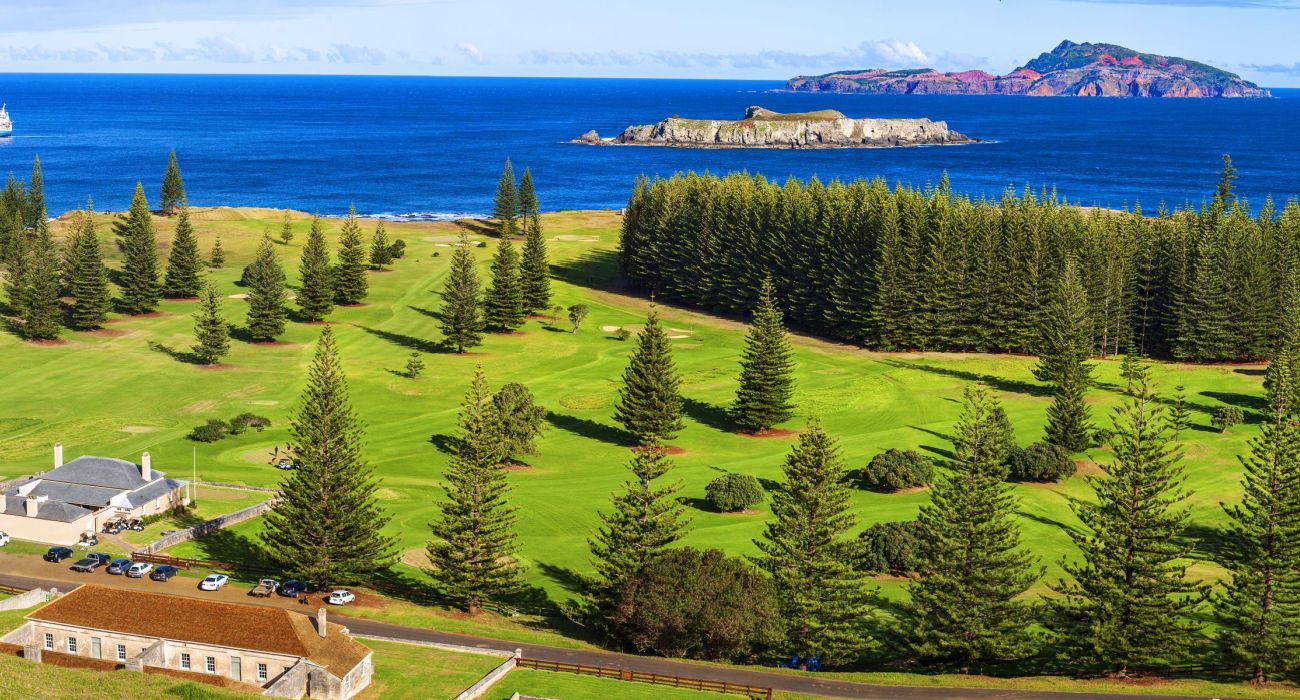 Norfolk Island golf course lined with norfolk island pines