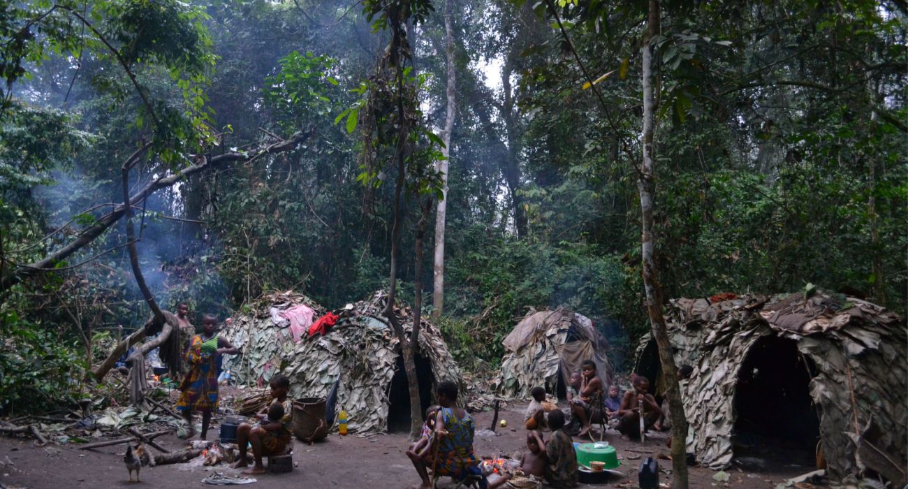 Pygmy village inside the Ituri Forest.