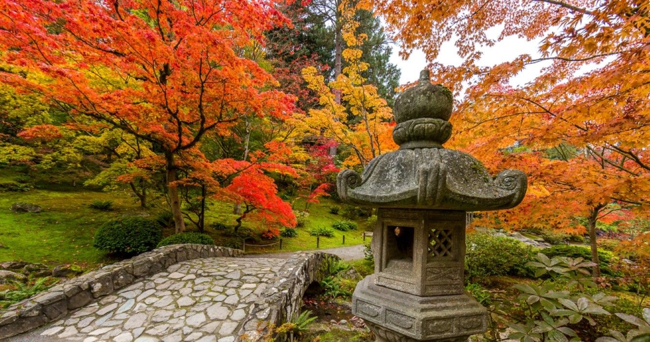 Seattle japanese garden, fall foliage