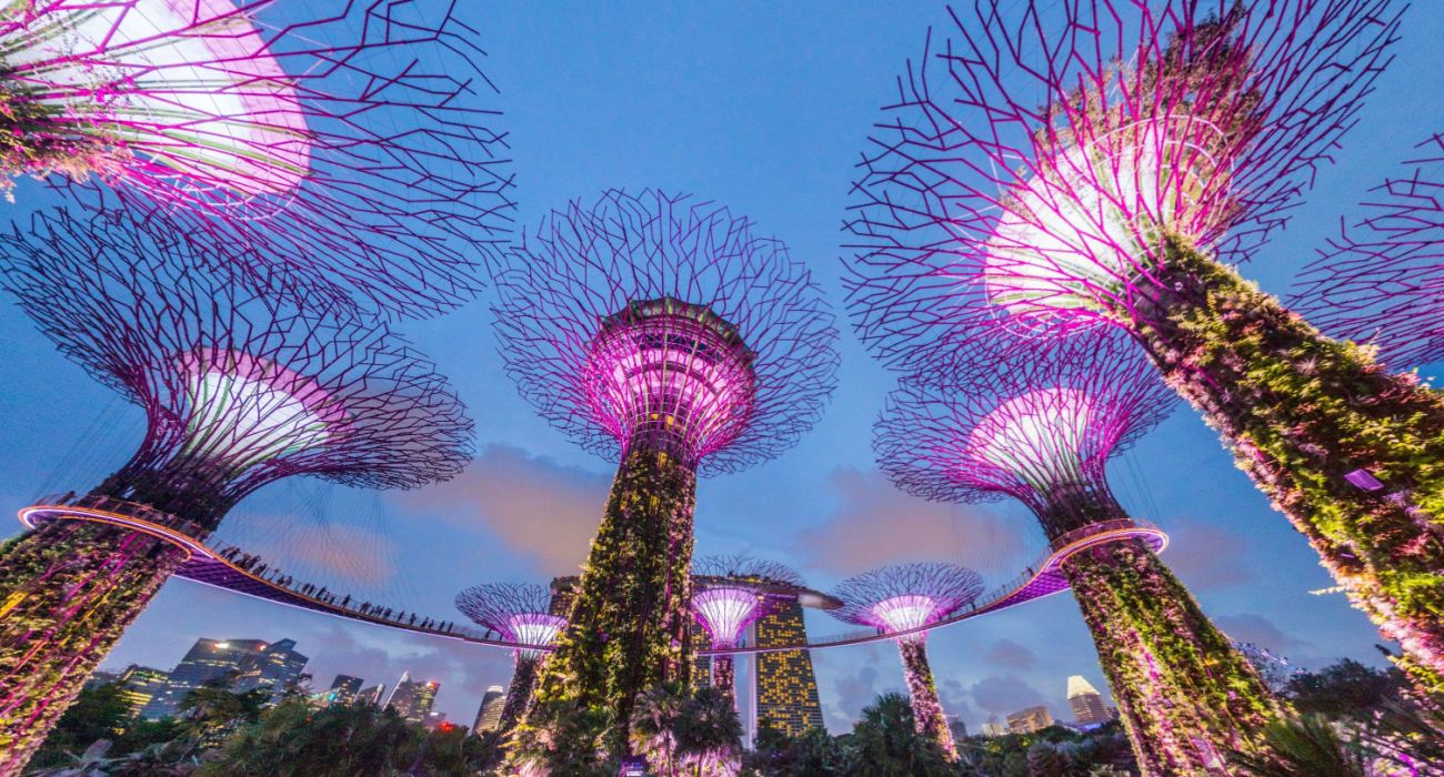 Supertrees of Gardens By The Bay
