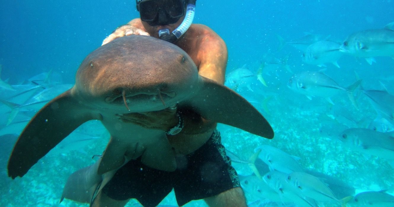 Swimming with Tiger Sharks in Hol Chan Marine Reserve, Belize