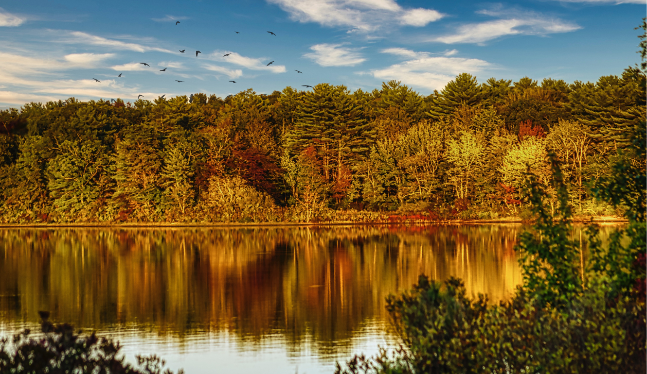 10 Massachusetts Towns That Are Celebrating The Fall Season Perfectly