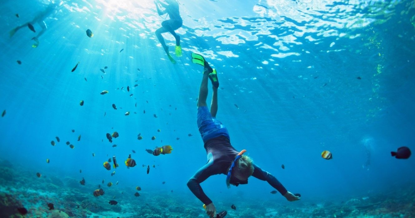 A group of people snorkeling