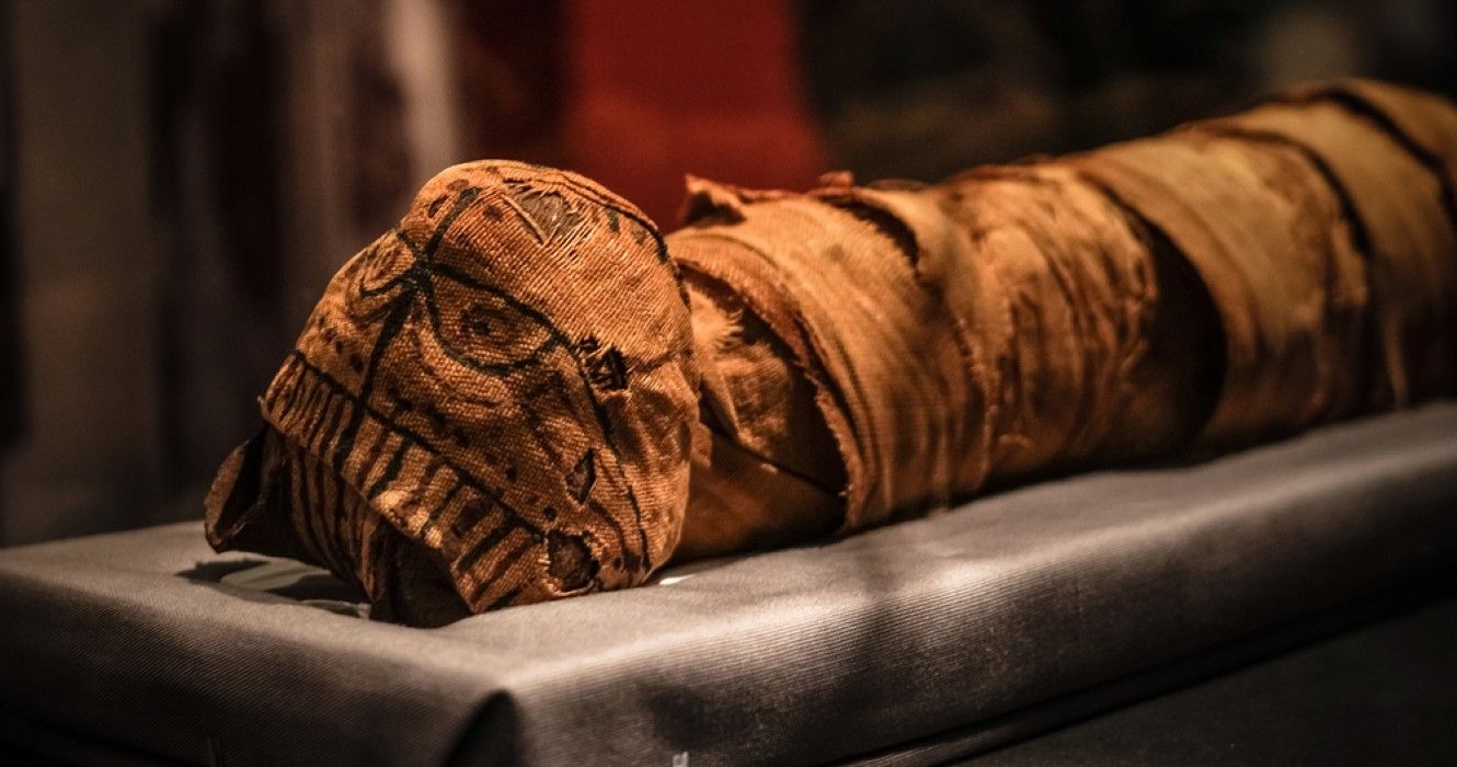 Egyptian cat mummy in a Tokyo museum