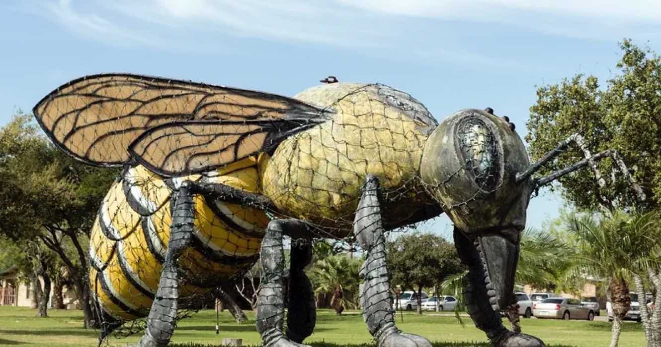 Killer bee statue, Hidalgo, Texas