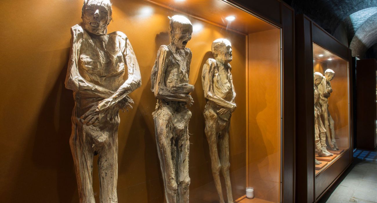 Mummies Of The Guanajuato museum