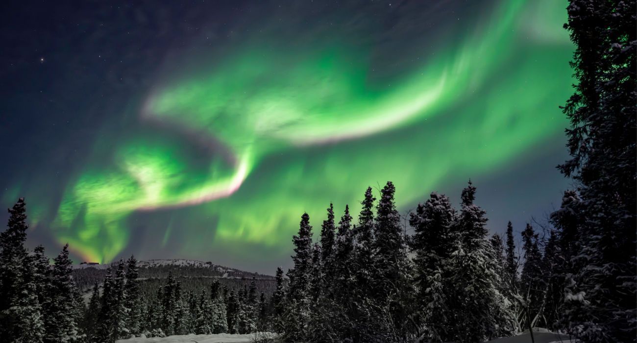 Northern Lights or Aurora Borealis shot in Alaska