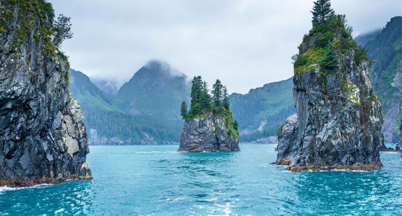 Porcupine bay at Kenai Fjords National Park, Alaska