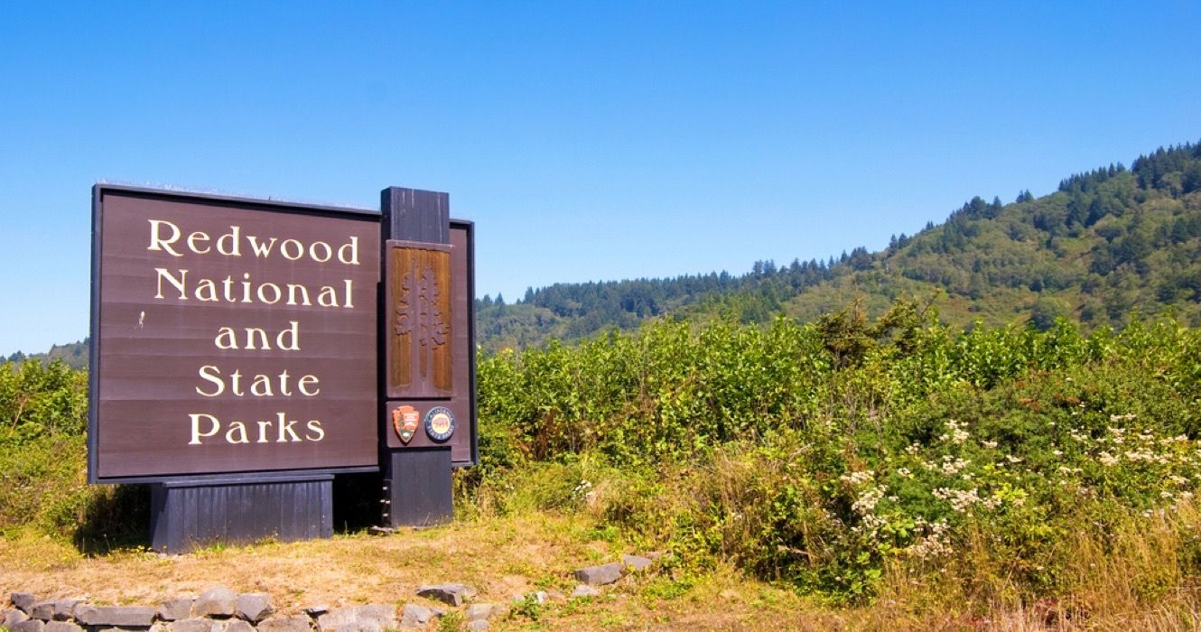 14 Unbelievably Beautiful Hikes You Need To Take In Redwood National Park