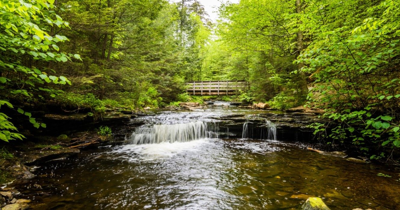 Ricketts Glen State Park, one of the most beautiful natural places in Pennsylvania