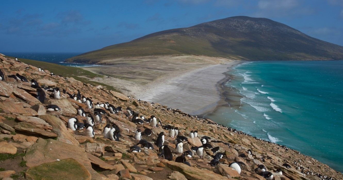 Remote Yet Rewarding: 10 Best Spots Of Falkland Islands