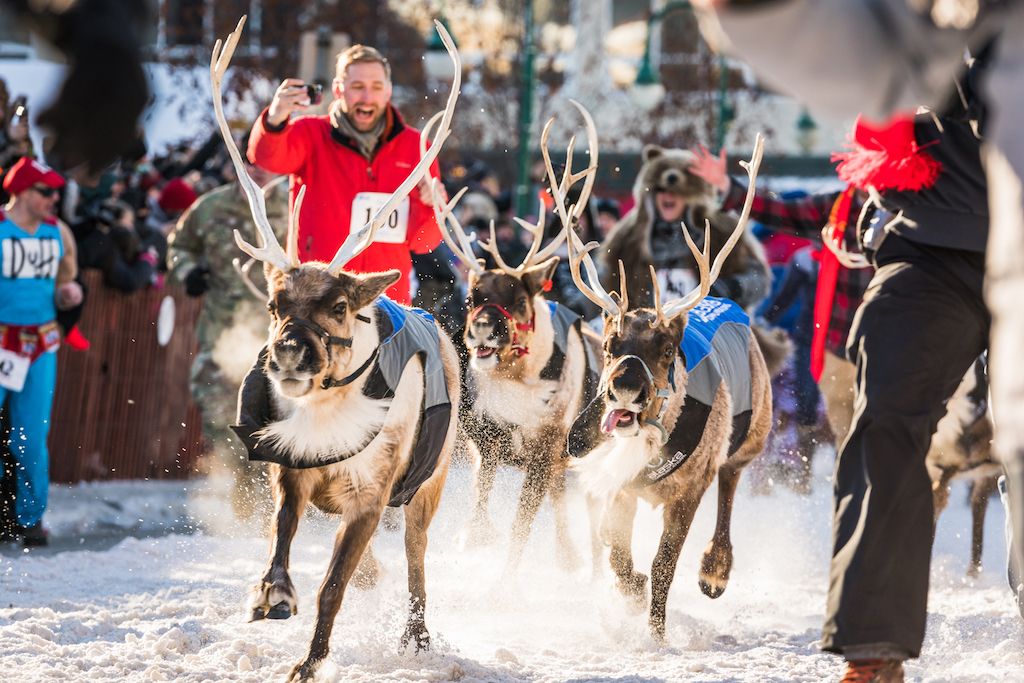 Running of the Reindeer 33  JodyO.Photos