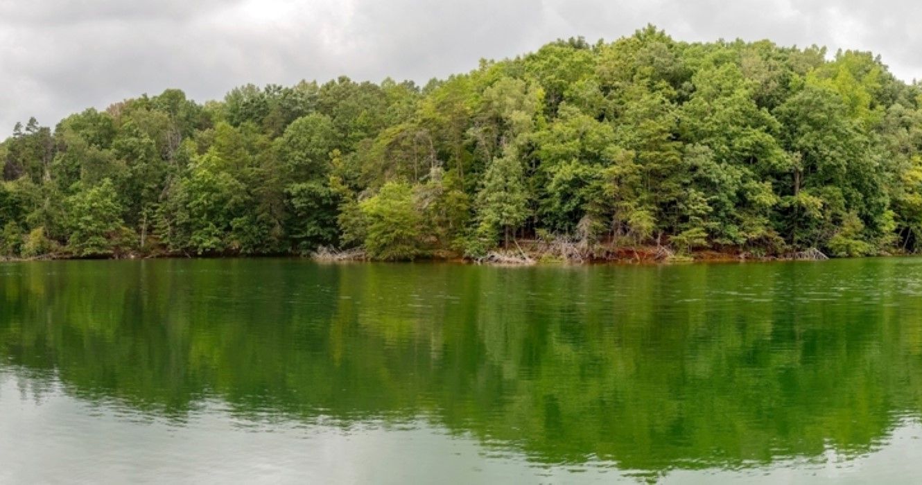 Smith Mountain Lake Virginia State Park