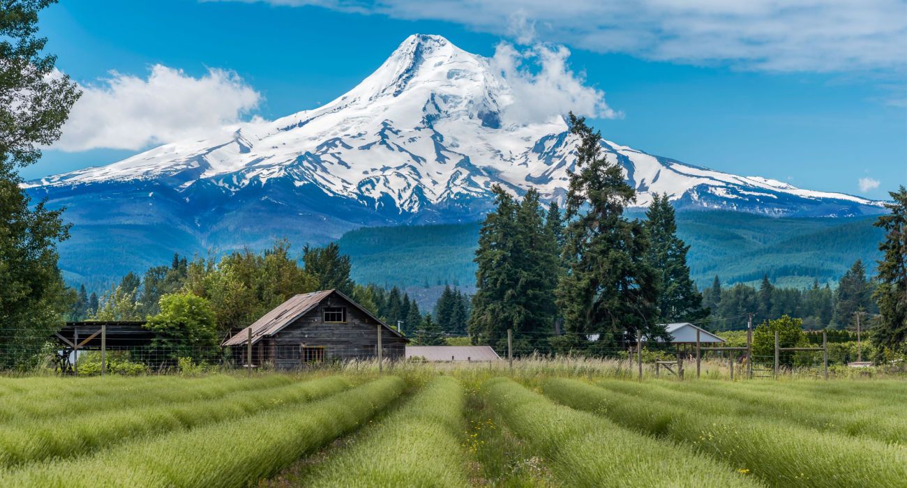 10 Things To Do In Mount Hood Complete Guide To Oregons Thetravel