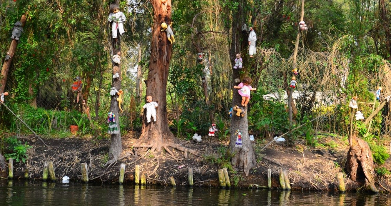 Xochimilco, Mexico, is an island of abandoned dolls