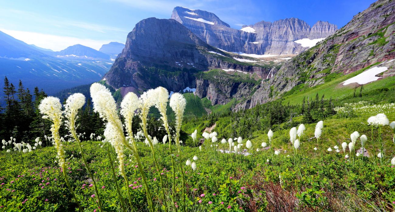 mountain landscape Glacier National Park