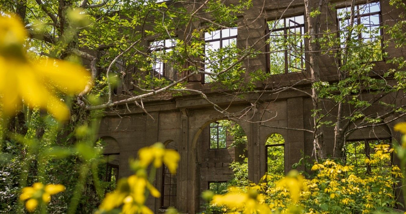 skeletal remains of the Catskills hotel, the Overlook Mountain House