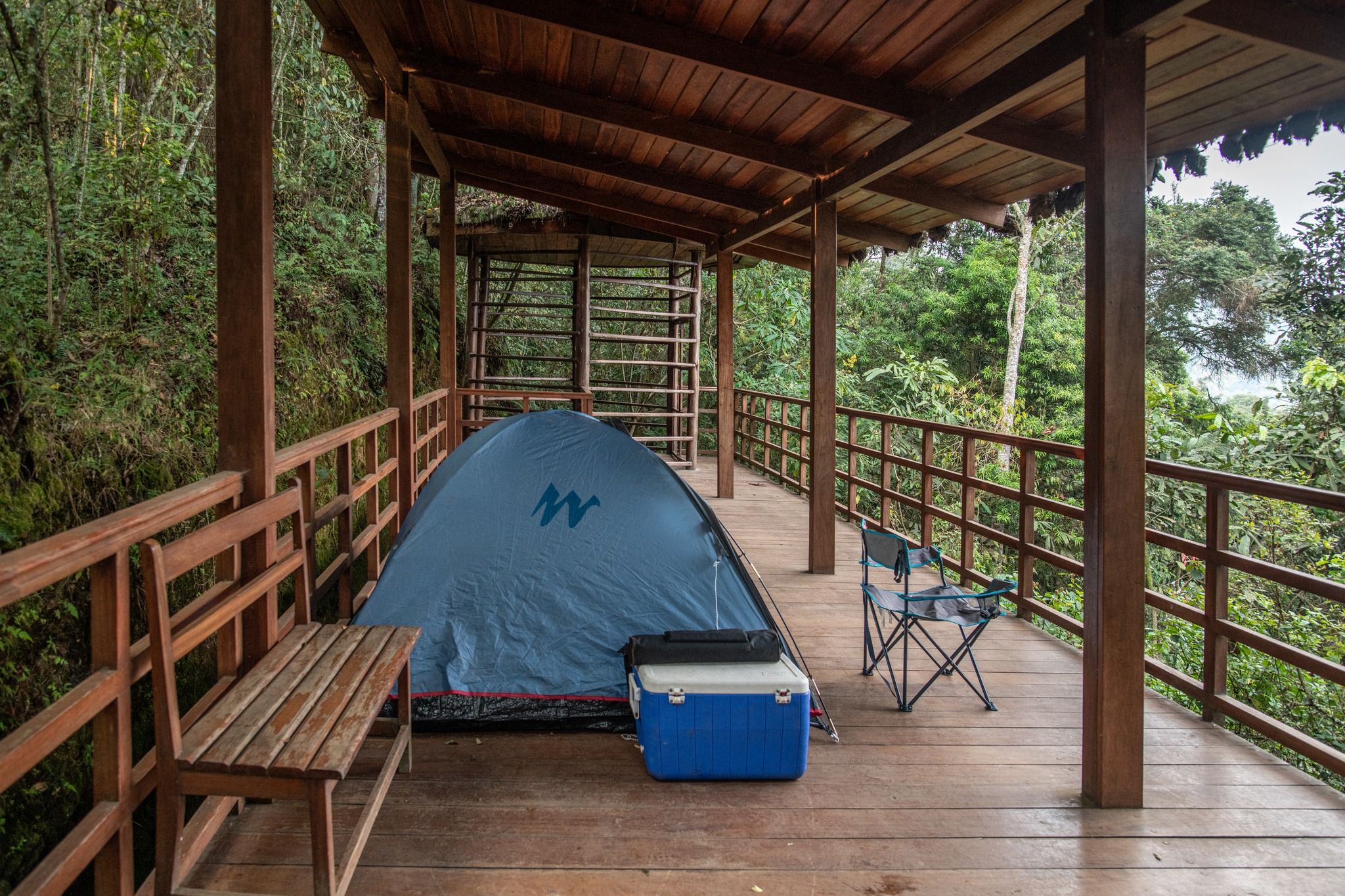 Camping inside Nyungwe National Park 