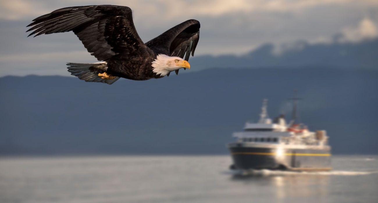 Bald Eagle Flying By A Ferry