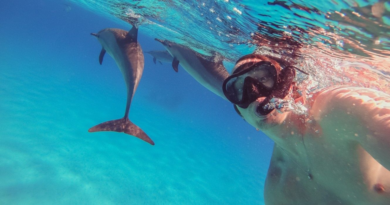 Guy taking selfie while swimming with dolphins