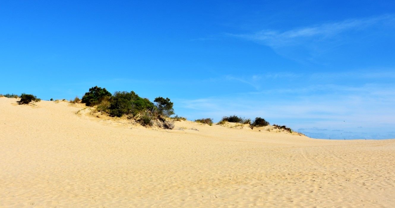 This North Carolina State Park Beach Is Home To A Miniature Desert