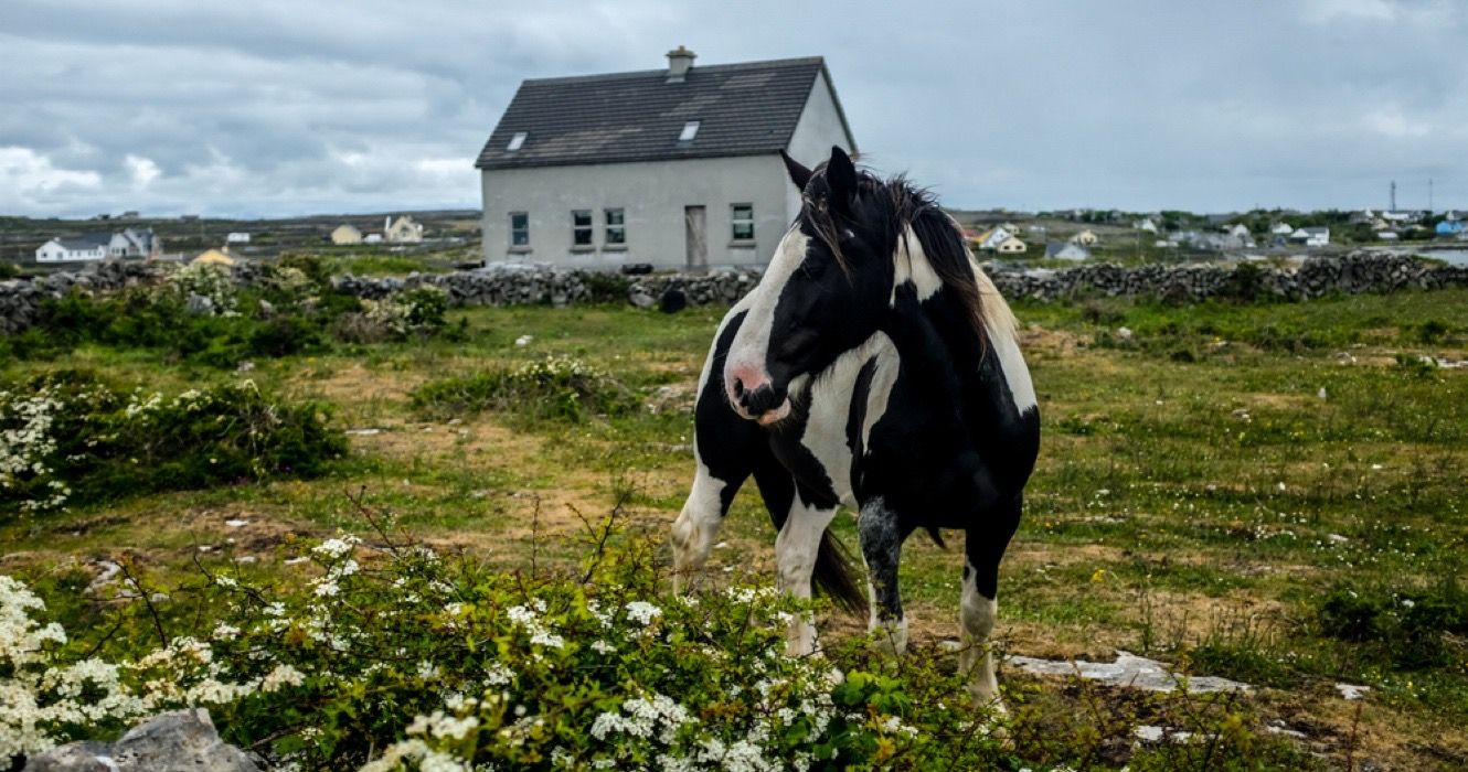 Visiting Inishmore: See Where 'The Banshees Of Inisherin' Took Place