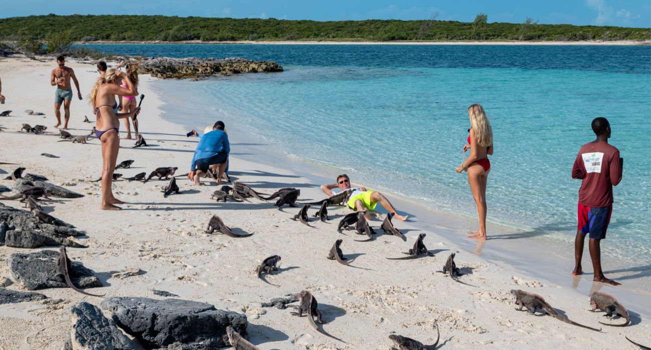 Tourists visiting the iguanas beach