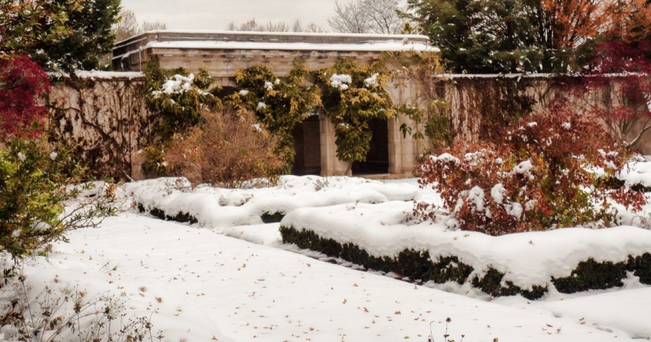 rochester new york winter