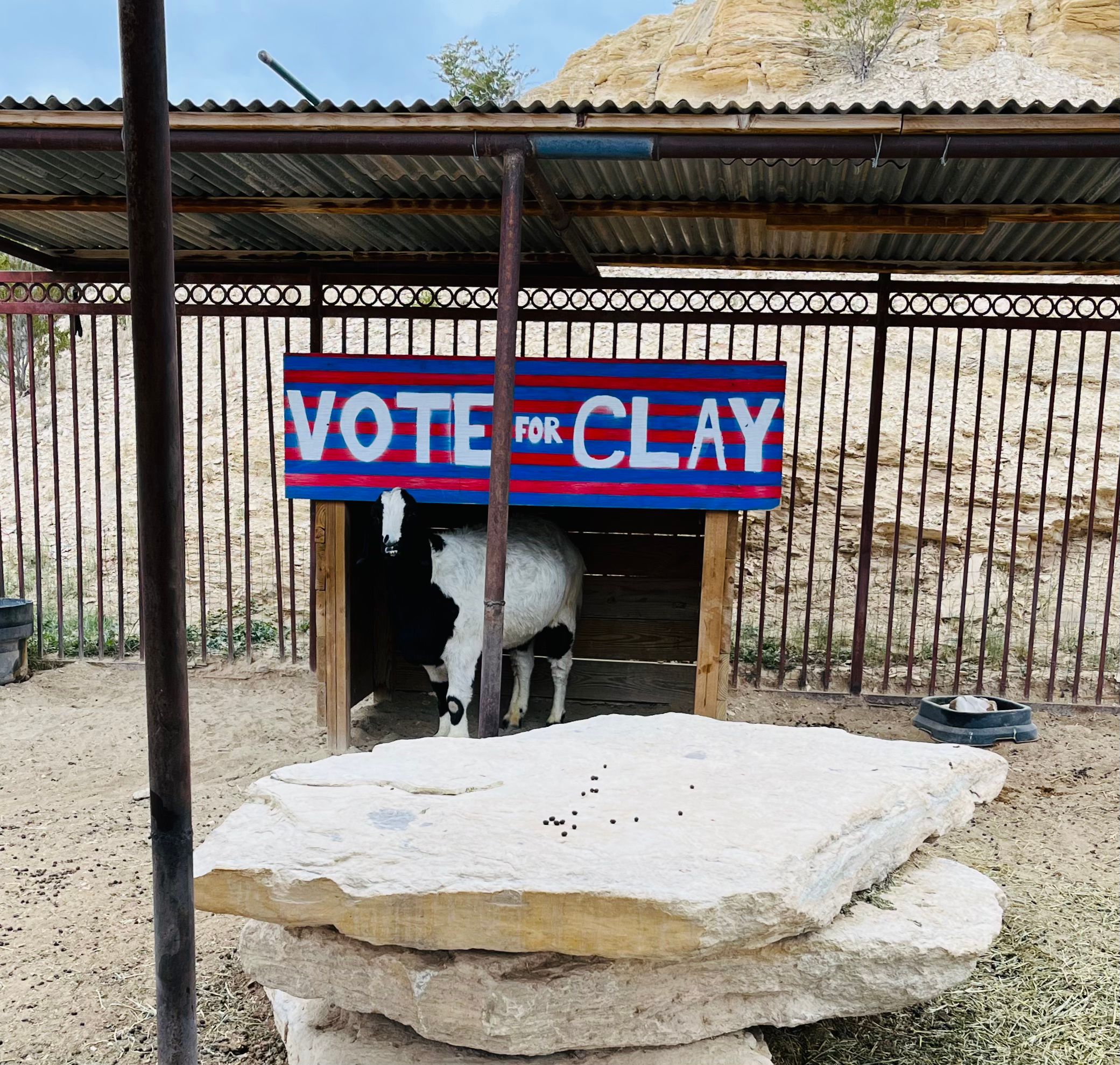 10 Causes To Go to Lajitas, Texas (Together with To See Its Goat Mayor)