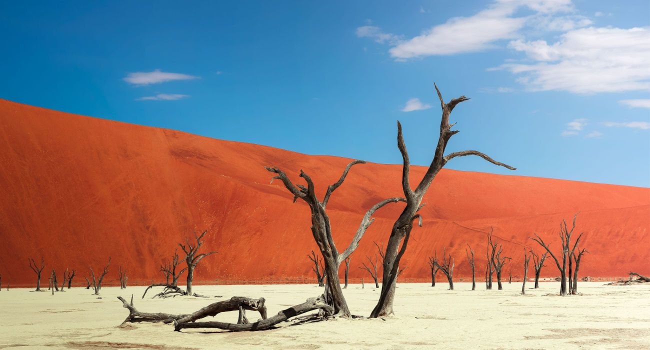 What Makes Namibia's Sossusvlei The Most Amazing National Park In The World