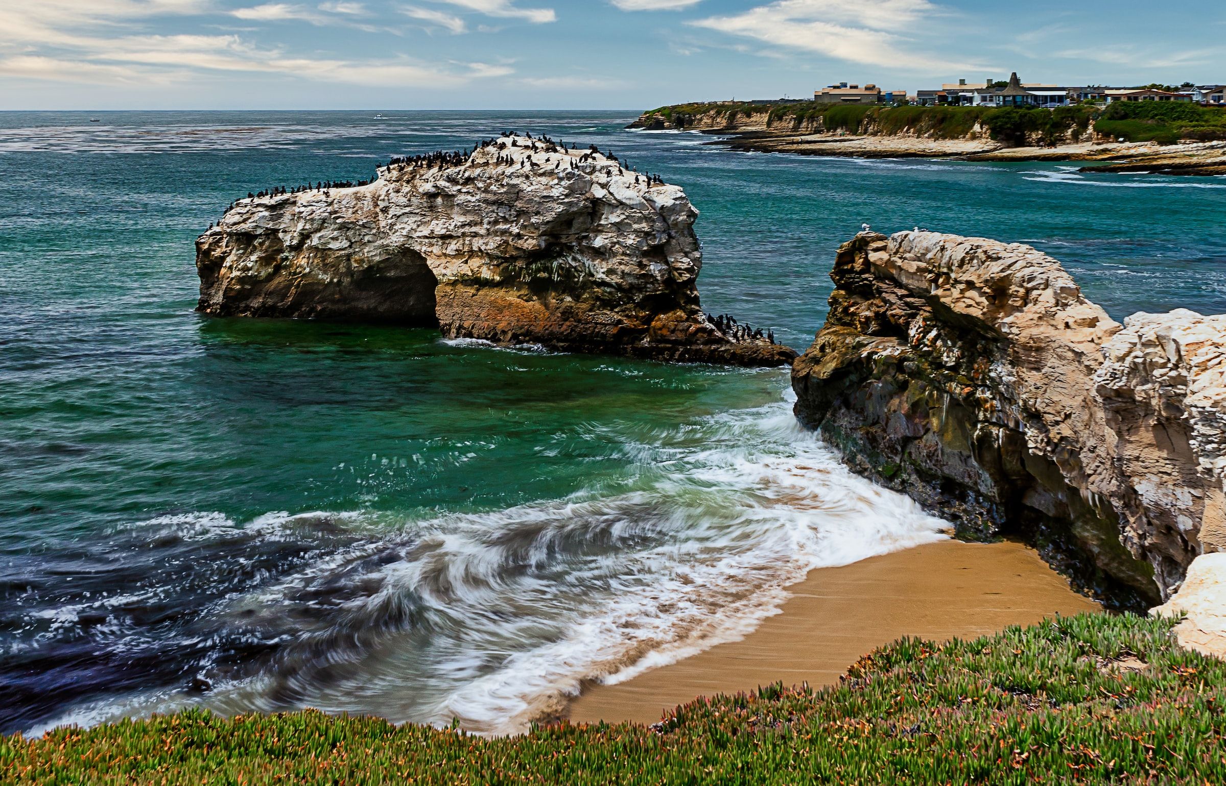 Natural Bridges State Beach, Santa Cruz, California