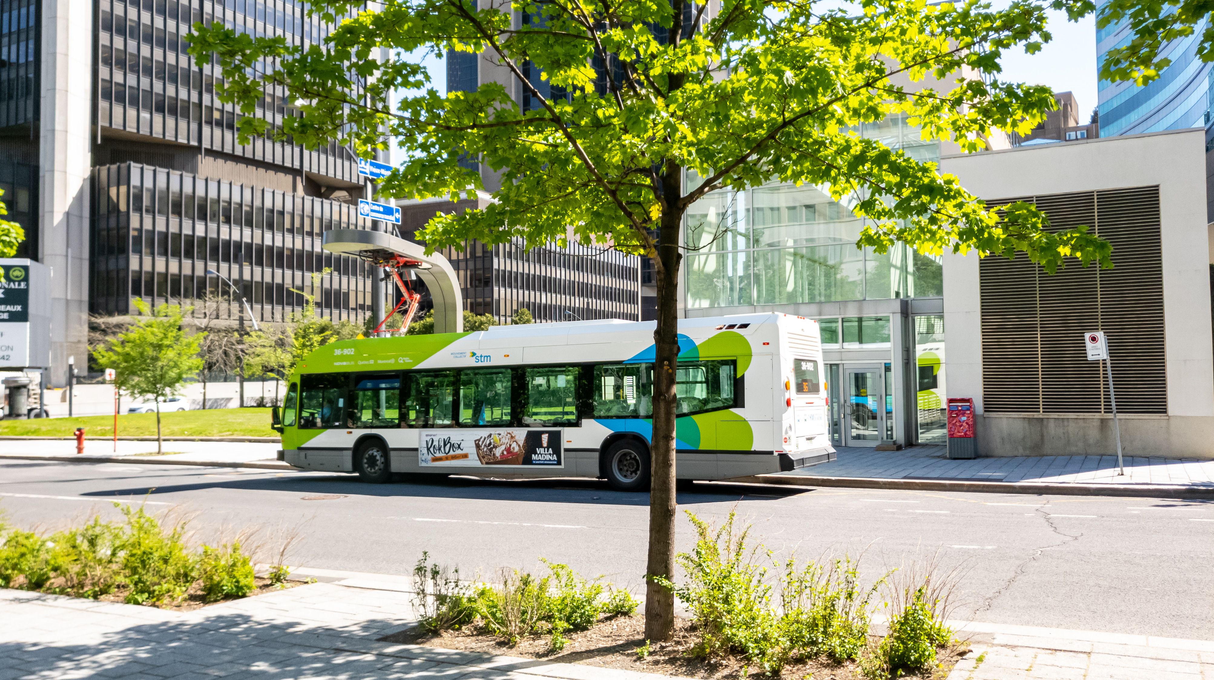 public bus transportation in montreal
