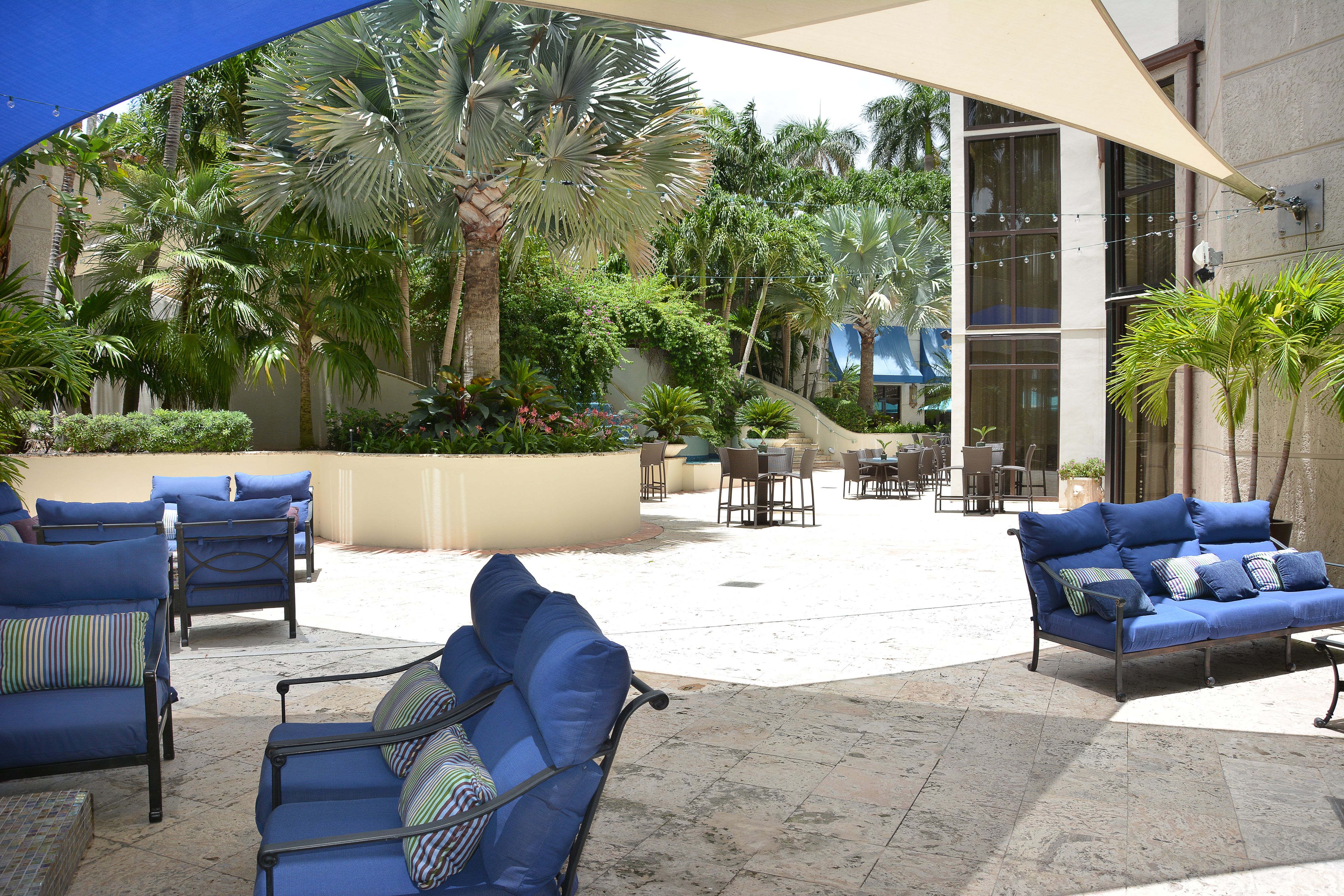 lounge chairs at the ritz carlton coconut grove in miami