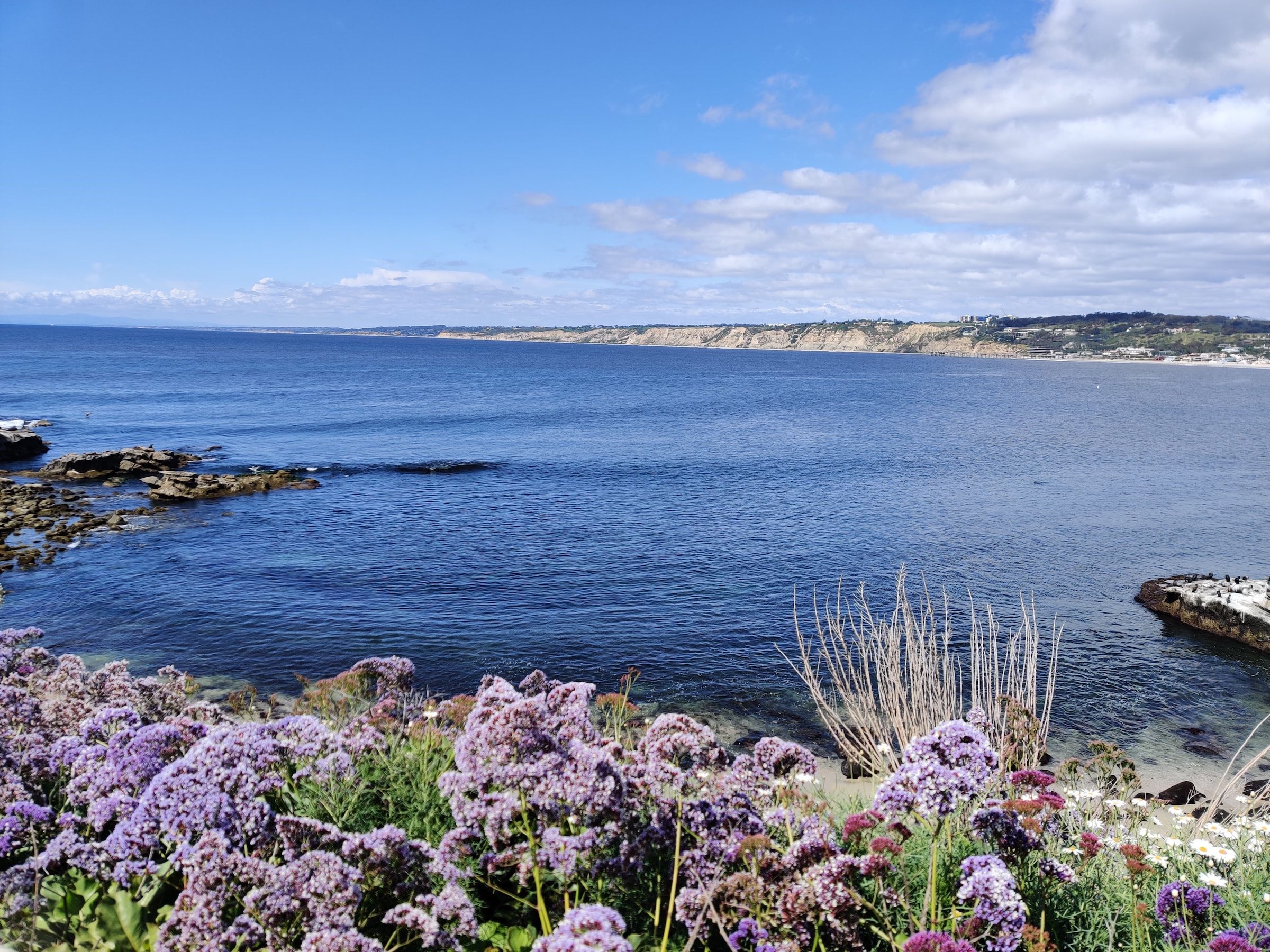 La Jolla Cove, San Diego CA